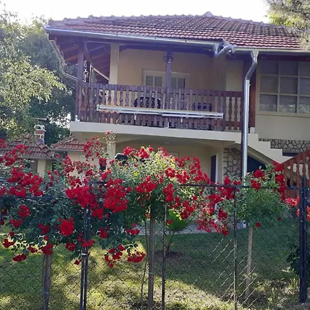 Dunavska Prica Daire Negotin