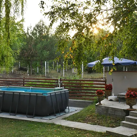 Dunavska Prica * Negotin