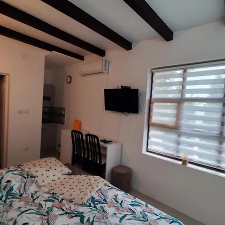 Dunavska Prica * Negotin